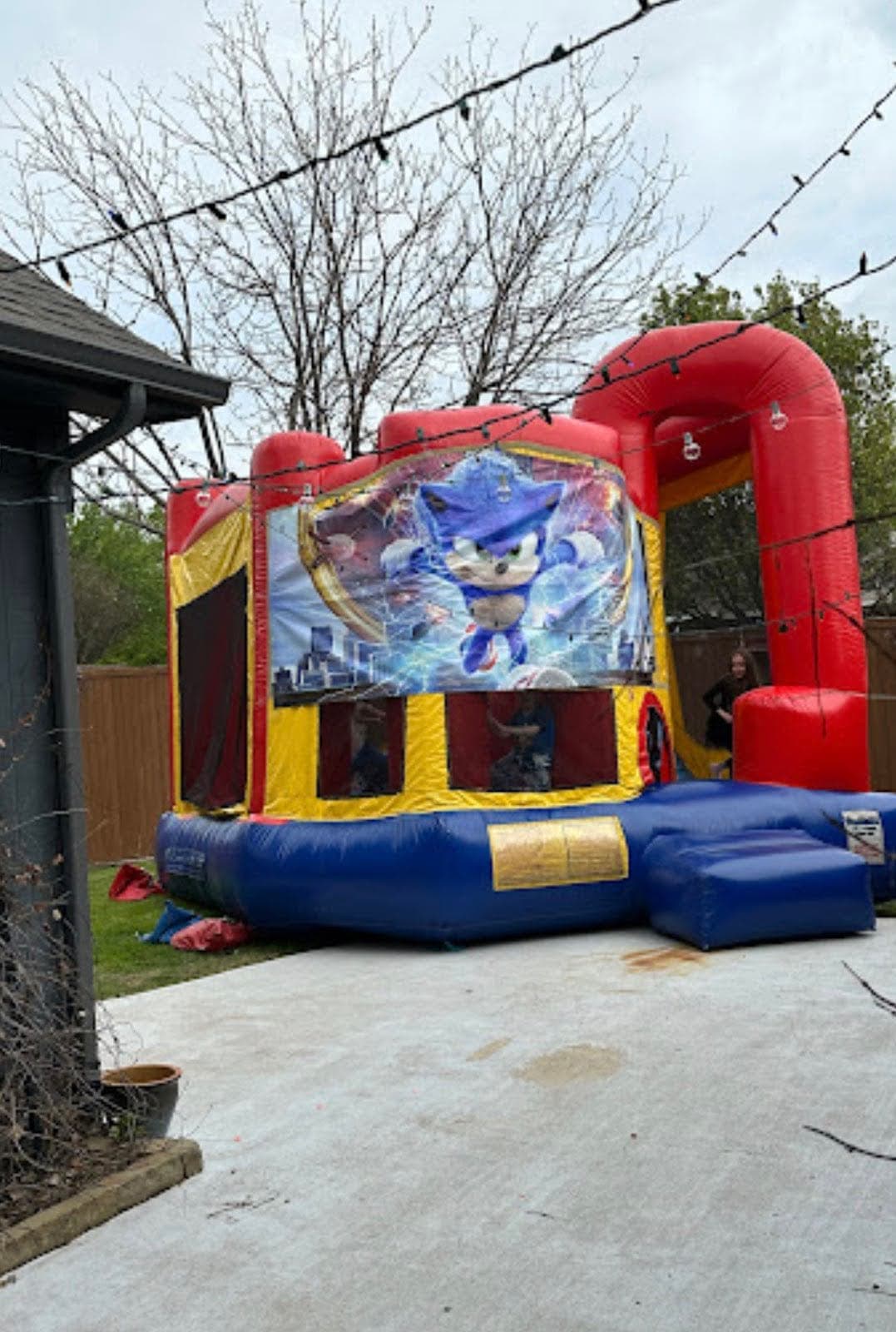 Sonic the Hedgehog