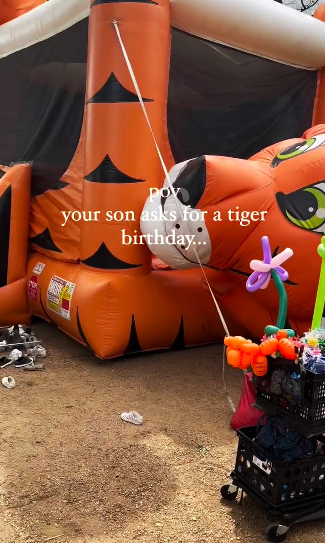Tiger Bounce House Birthday Party UGC