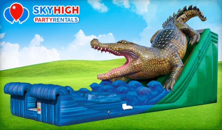 3D preview