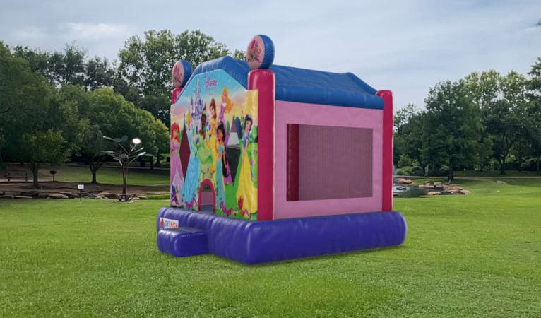 Houston, TX Disney Princess Moonwalks Delivered Sky High Party