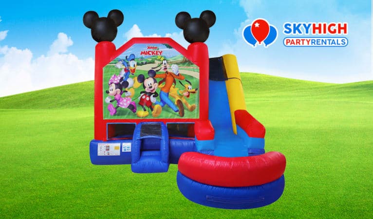 USA Mickey Mouse and Friends Combo Sky High Party Rentals