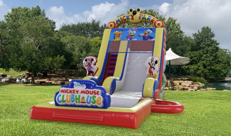 Houston Tx Big Water Slide Rentals Near Me Mickey Mouse Slide