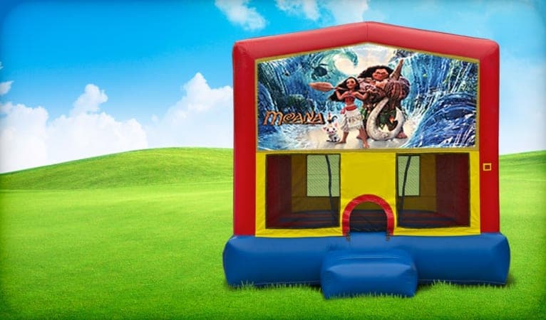 3D preview