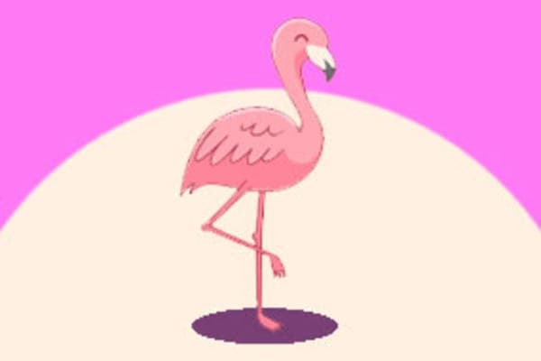 Flamingo