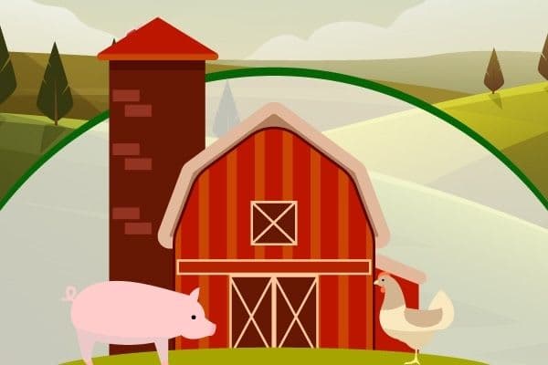 Rodeo & Farm