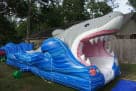 USA Shark Inflatable Slide | Sky High Party Rentals