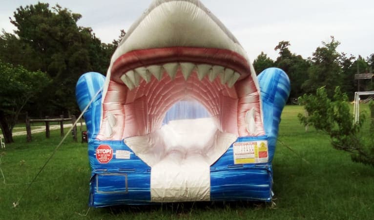 USA Shark Inflatable Slide | Sky High Party Rentals
