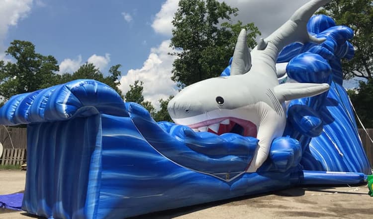 USA | Shark Inflatable Slide Rentals | Sky High Party Rentals