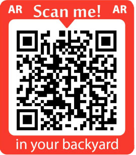 Scan to View in AR on Mobile