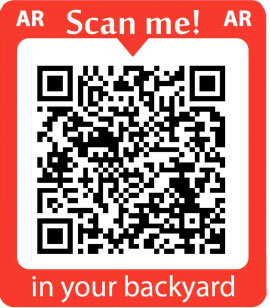 Scan to View the bouncy castle in AR on Mobile