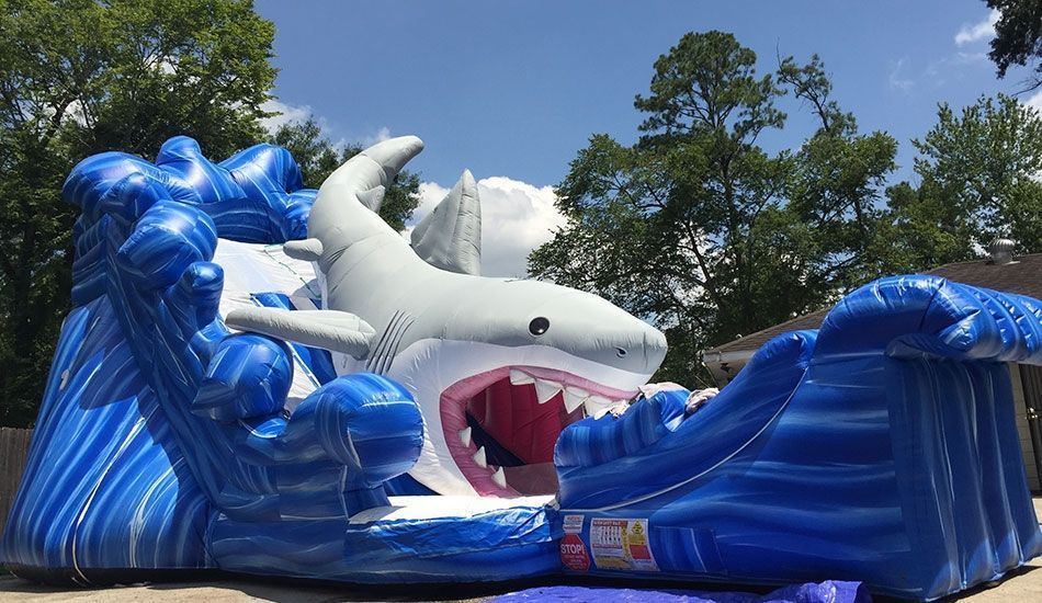 shark water slide